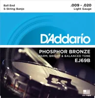 Комплект струн для банджо D'Addario EJ69B
