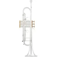 Arnoldsandsons atr-5200gsg-terra  труба bb студенческая модель, стальн клапаны, растр томпак, пос