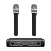 Pasgao PAW266/ PAH172 584-607 MHz (Уценка)  р/ сист с двумия микроф, НЕТ ДЕРЖАТЕЛЕЙ, ПОСЛЕ РЕМОНТА
