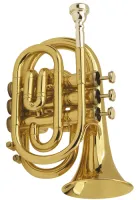 Pocket trumpet Bb Artemis RTR-5011 - Карманная труба из лакированной латуни