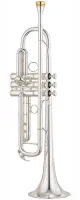 Труба Bb Yamaha Xeno YTR-8335RS//04