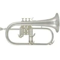 ROY BENSON FH-302S Bb флюгельгорн (цвет серебро)