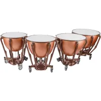LTS404FG Комплект литавр 23, 26, 29, 32", стекловолокно (4 коробки), Ludwig