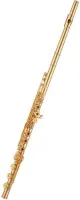 Flute Aidis PA-18G18K - Продвинутая флейта с клапанами французского стиля с ми-механикой и открытыми клапанами. Си-колено. Позолоченная серебряная головка и корпус.