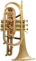 Корнет Bb CarolBrass Legendary CCR-9392T-GLS(D)-Bb-SLB(PIB)