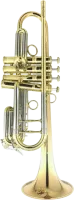 Труба Bb CarolBrass Legendary CTR-5200H4V-GLT(D)-Bb-L
