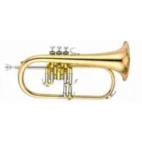 J. Michael FG-500 Флюгельгорн, полужесткий кейс