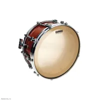 EVANS CS14SS - Пластик 14"