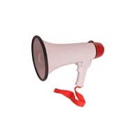 Soundking YC-200 - Рупорная акустика