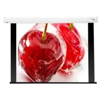 Экран Baronet AV (1:1) 96/96" 244*244 XT1000E (MW) MB (with black borders)