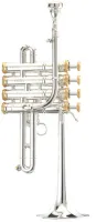 Труба-пикколо Bb/A Stomvi Elite 5706