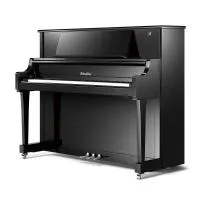 Ritmuller qu1-rsh119 (a111)  акустическое пианино сайлент, высота 119 см, цвет чёрный полированный
