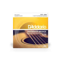 D'Addario EJ19 - комплект струн для акустической гитары 12-16-25-35-45-56
