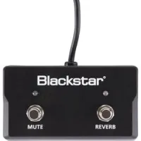 Blackstar fs-17  2-кнопочный футсвитч для серии sonnet