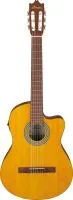 Ibanez Ga3ece-oam