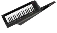 KORG RK-100S 2 BK - программируемый аналоговый синтезатор-клавитара, цвет черный, 8 голосов, 2 осциллятора + генератор шума, 200 пресетов, в комплекте плотный чехол и наплечный ремень