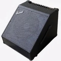 BELCAT DR-60 - Комбоусилитель для ударной установки