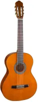 COLOMBO LC - 3912 / GY - Классическая  гитара. Верхняя дека - ель (тонирована под кедр), нижняя дека и обечайка - махагон, гриф - махагон, накладка - палисандр, порожек - палисандр