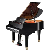 W152BK Рояль акустический, черный WendlandLung