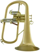 Флюгельгорн CarolBrass CFL-6200-GSS-Bb-SLB