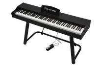 DP-121-HF-BK цифровое фортепиано звуки DREAM, 88 клавиш, полновзвешенный молоточковый механизм, 960 тембров, многодорожечная запись, эффекты, 2х10Вт, одиночная педаль,черное,без подставки,Pierre Cesar