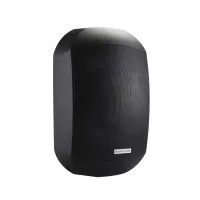 Lucky Tone WTP-660B Настенный громкоговоритель, цвет черный