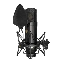Студийный конденсаторный микрофон [110802A2024] Icon [Space 87] с большой диафрагмой