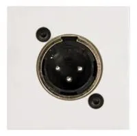 CP45XLMS/ W Панель подключения без пайки XLR-M размера D стандарта 45х45 мм. Цвет: Белый