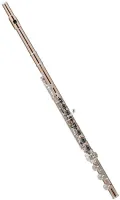 Флейта Powell Conservatory Aurumite B-footjoint Split-E