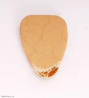 МОЗЕРЪ P08 - Медиатор