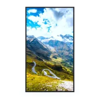 ЖК-панель Hisense 49WF35M 49"