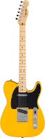 Fender Standard Telecaster Butterscotch Blonde