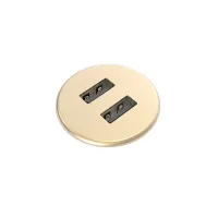 Kondator 935-PM30M- Встраиваемая металлическая зарядная станция серии Powerdot с 2xUSB, шампань