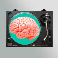 Stereo Slipmats Brain Pink 2мм - Слипматы