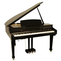 ORLA Grand-500-BLACK Цифровой рояль, с автоаккомпанементом, черный, Orla