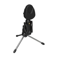 BEHRINGER BV4038 - конденсаторный USB-микрофон, суперкардиоида,  50 Гц – 17 кГц, 16 бит / 48 кГц
