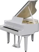 Roland Gp-9-pw