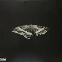 Виниловая пластинка Kendrick Lamar - To Pimp A Butterfly (alternative artwork) (Black Vinyl 2LP)