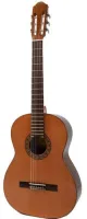 Classical guitar Raimundo 123 Cedar - Гитара для начинающих серии Estudio. Корпус из ламинированного мореного красного дерева, верхняя дека из кедра.