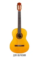 CORDOBA PROTEGE C1, классическая гитара, топ - ель, дека - махагони, цвет - натуральный, чехол в комплекте