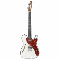 FENDER W19 LTD ARTISAN THINLINE TELE электрогитара