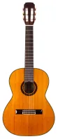 ARIA AK-35-53-Гитара классическая, 530 мм, верх: красный кедр, задние и боковые стороны: Mahogany, гриф: красное дерево, накладка: палисандр, мост: палисандр, фурнитура: Золото