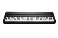 Kurzweil Mps120