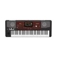 Korg pa700-or  синтезатор с автоаккомпанементом, 61 клавиша с восточными звуками oriental