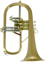 Флюгельгорн CarolBrass CFL-6200-GSS-Bb-SL