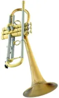 Труба Bb CarolBrass Legendary CTR-5280L-GLT(D)-Bb-BG