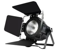 SHOWLIGHT COB PAR 200 RGBW Светодиодный COB прожектор с кашетирующими шторками, 1шт COB 200W RGBW, у, шт
