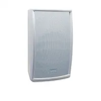 Biamp OVO5-W - Корпусный громкоговоритель, белого цвета