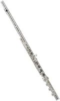 Флейта Powell Custom Silver C-footjoint Split-E
