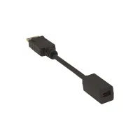 Kramer ADC-DPM/MDPF- Переходник DisplayPort (вилка) на Mini DisplayPort (розетка